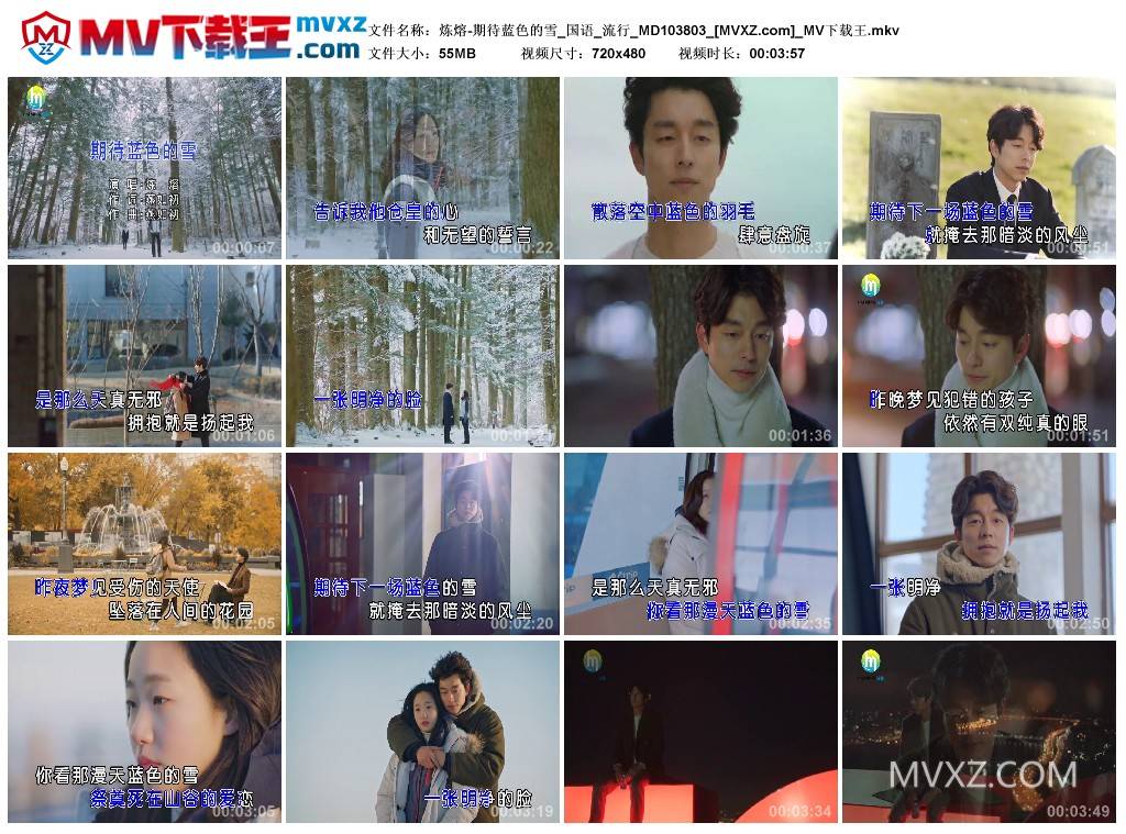 炼熔-期待蓝色的雪_国语_流行_MD103803